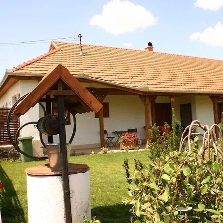 Tulipanos Vendeghaz *