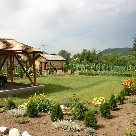 Tulipanos Vendeghaz *