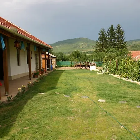 Tulipanos Vendeghaz Penzion